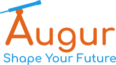 Augur Accountants Test